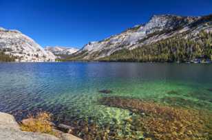 Tenaya Lake-4830.jpg Tenaya Lake-4830.jpg